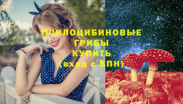 apvp Медногорск